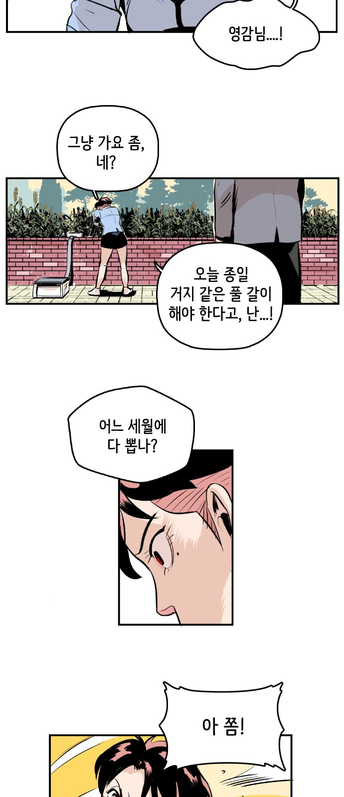34 페이지