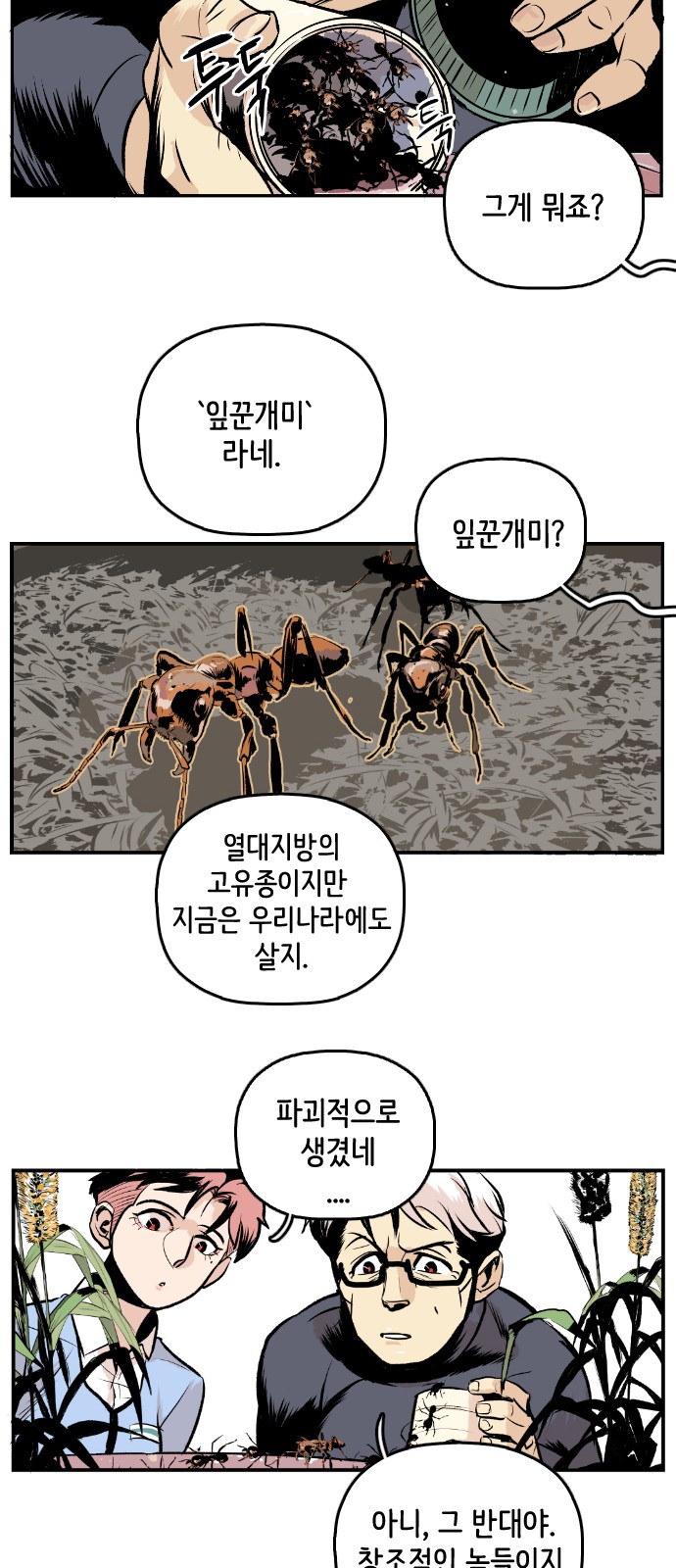 15 페이지
