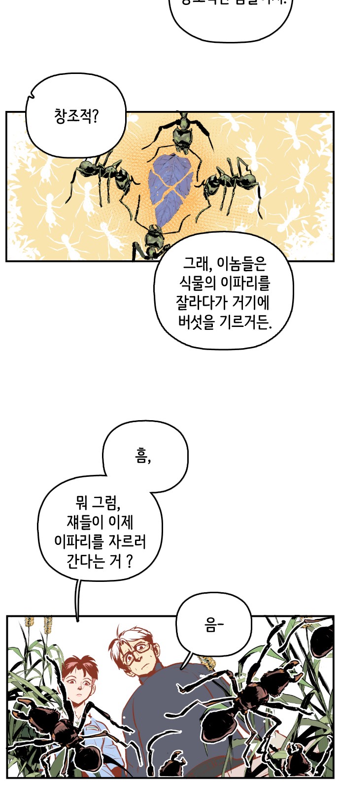 16 페이지