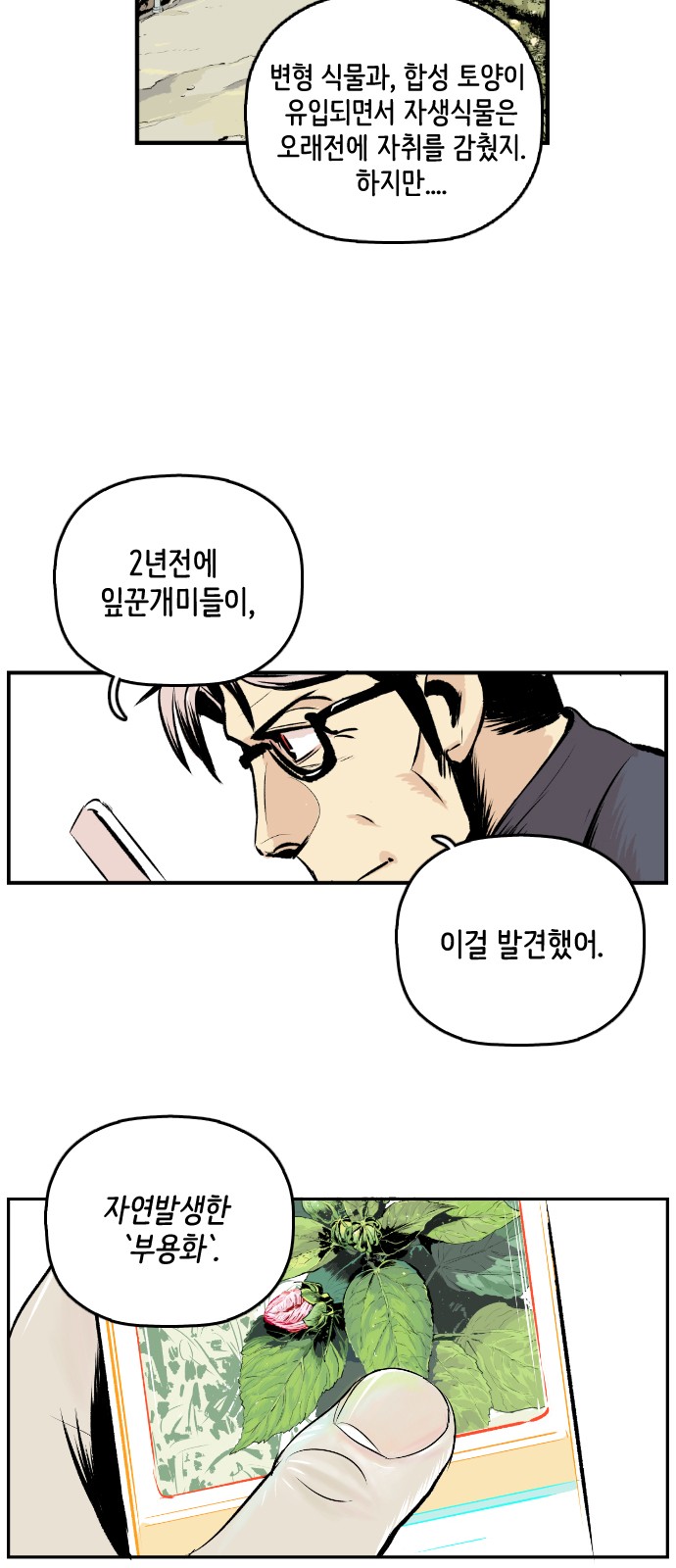 31 페이지