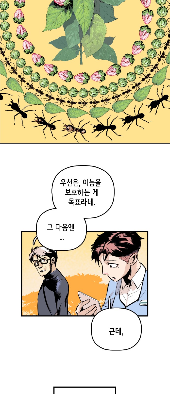 34 페이지