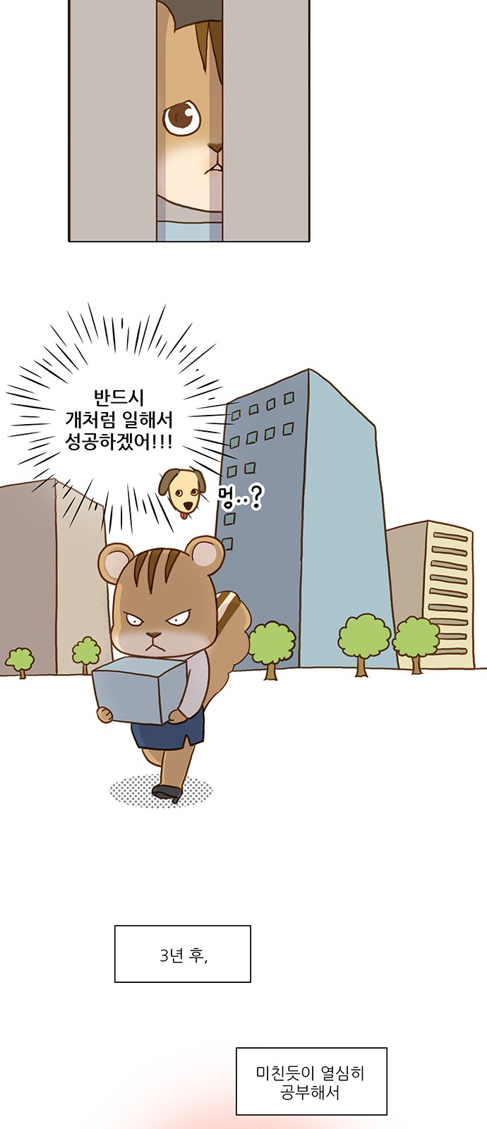 27 페이지