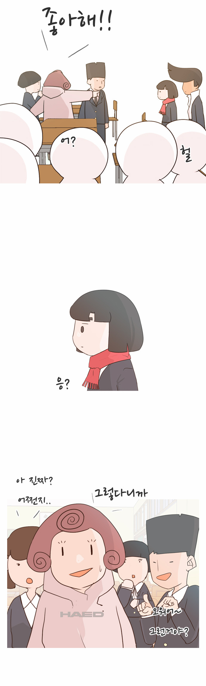 19 페이지