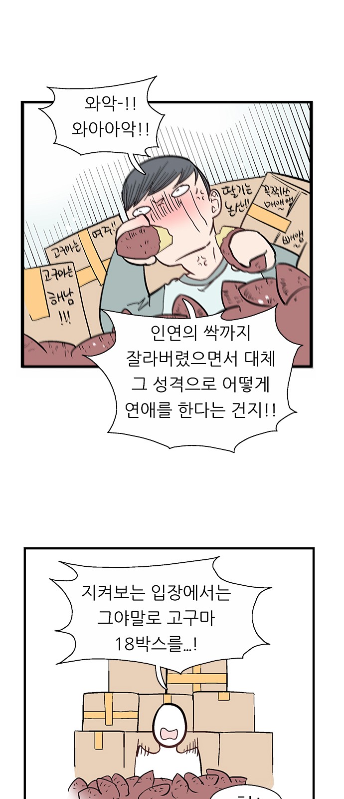 31 페이지