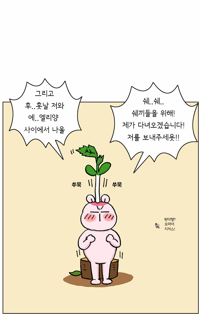 37 페이지