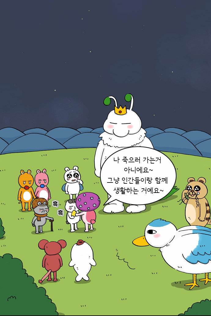 40 페이지