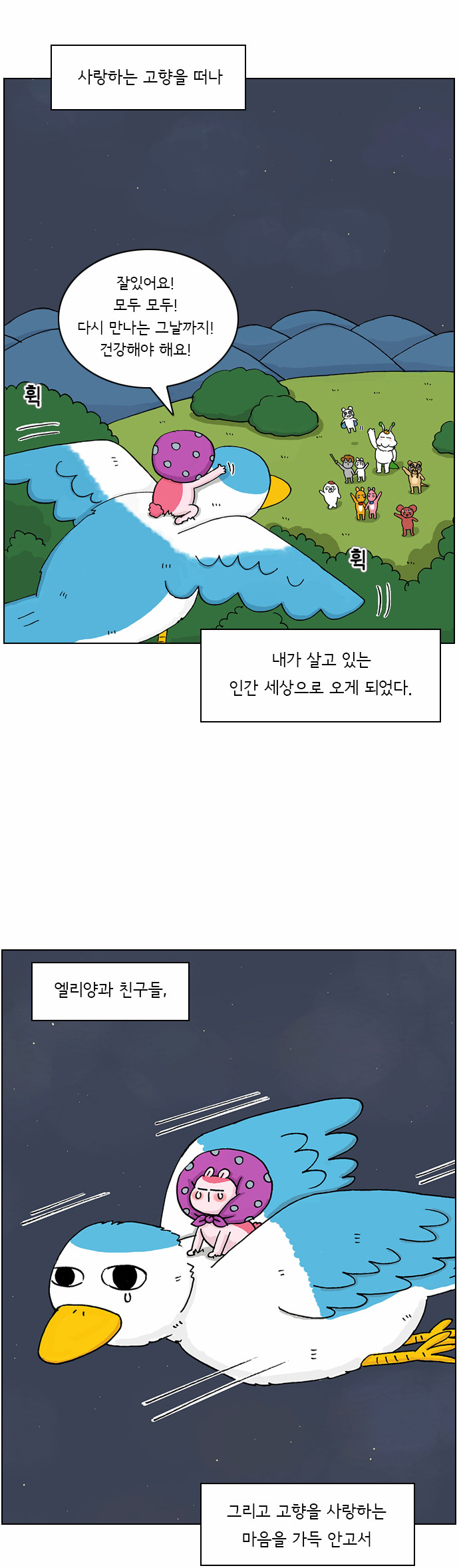 43 페이지