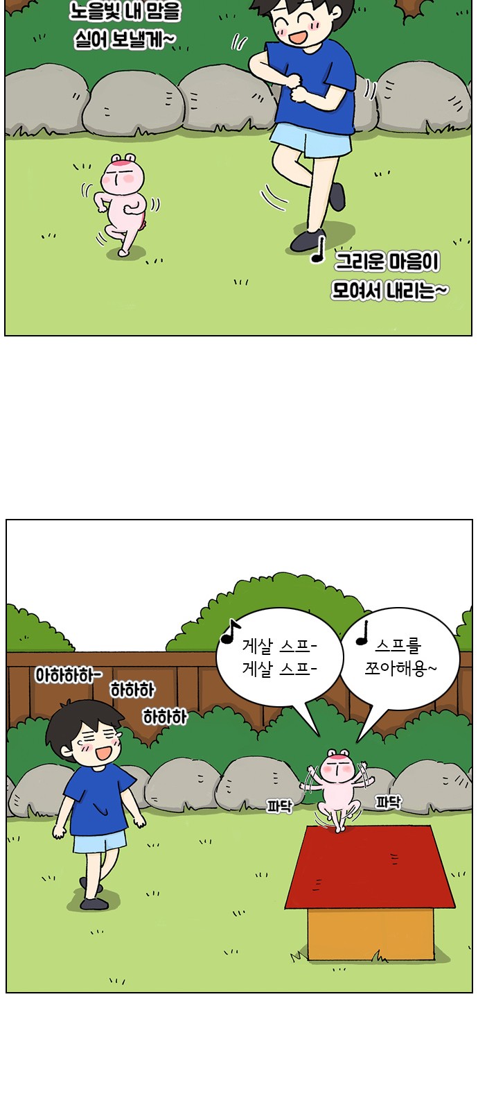 26 페이지