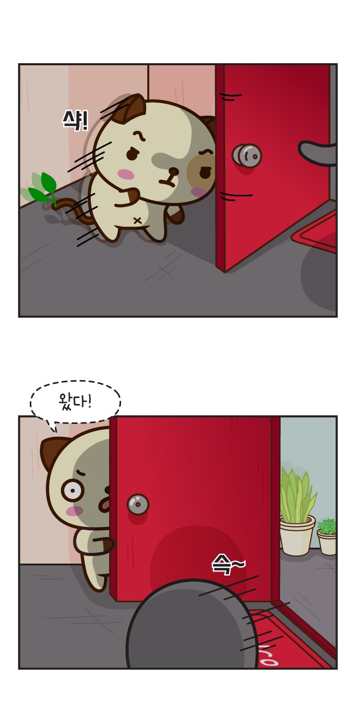 14 페이지