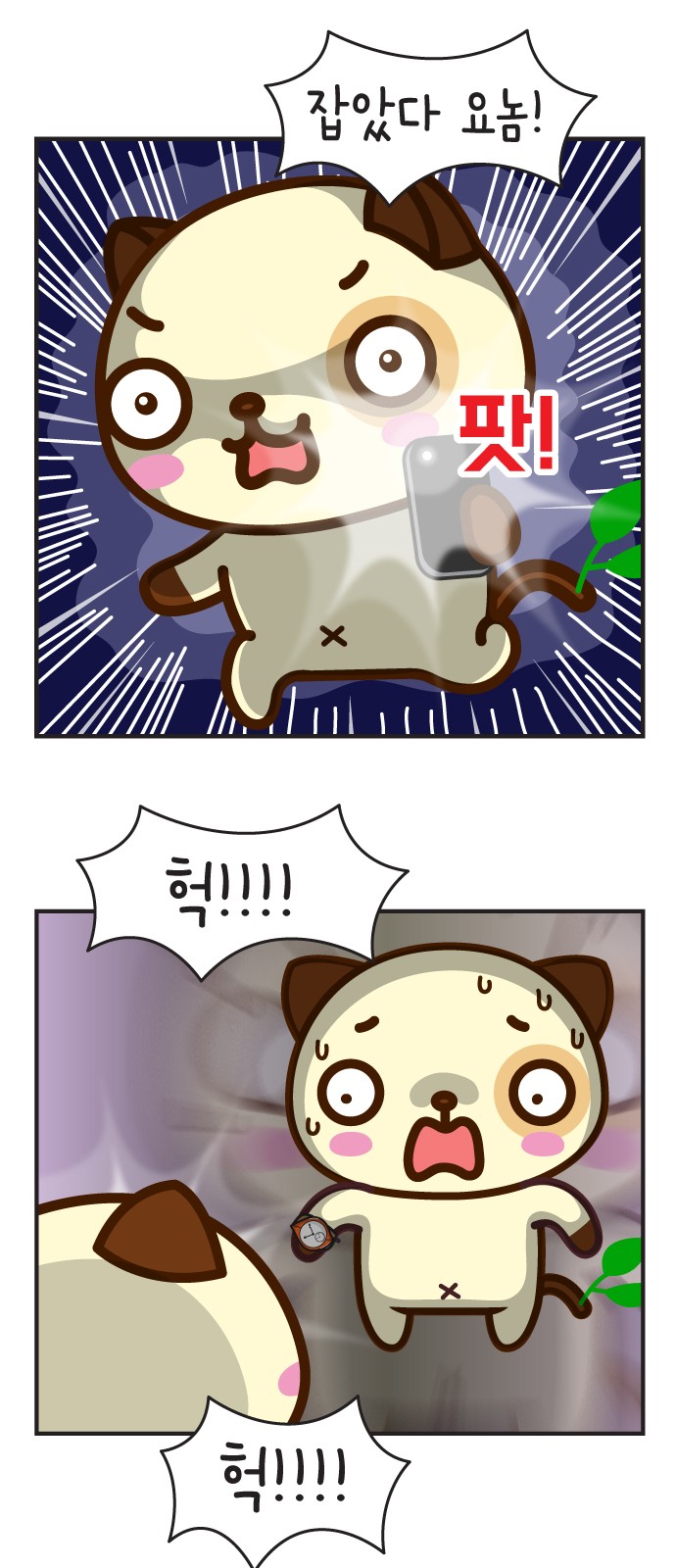 15 페이지