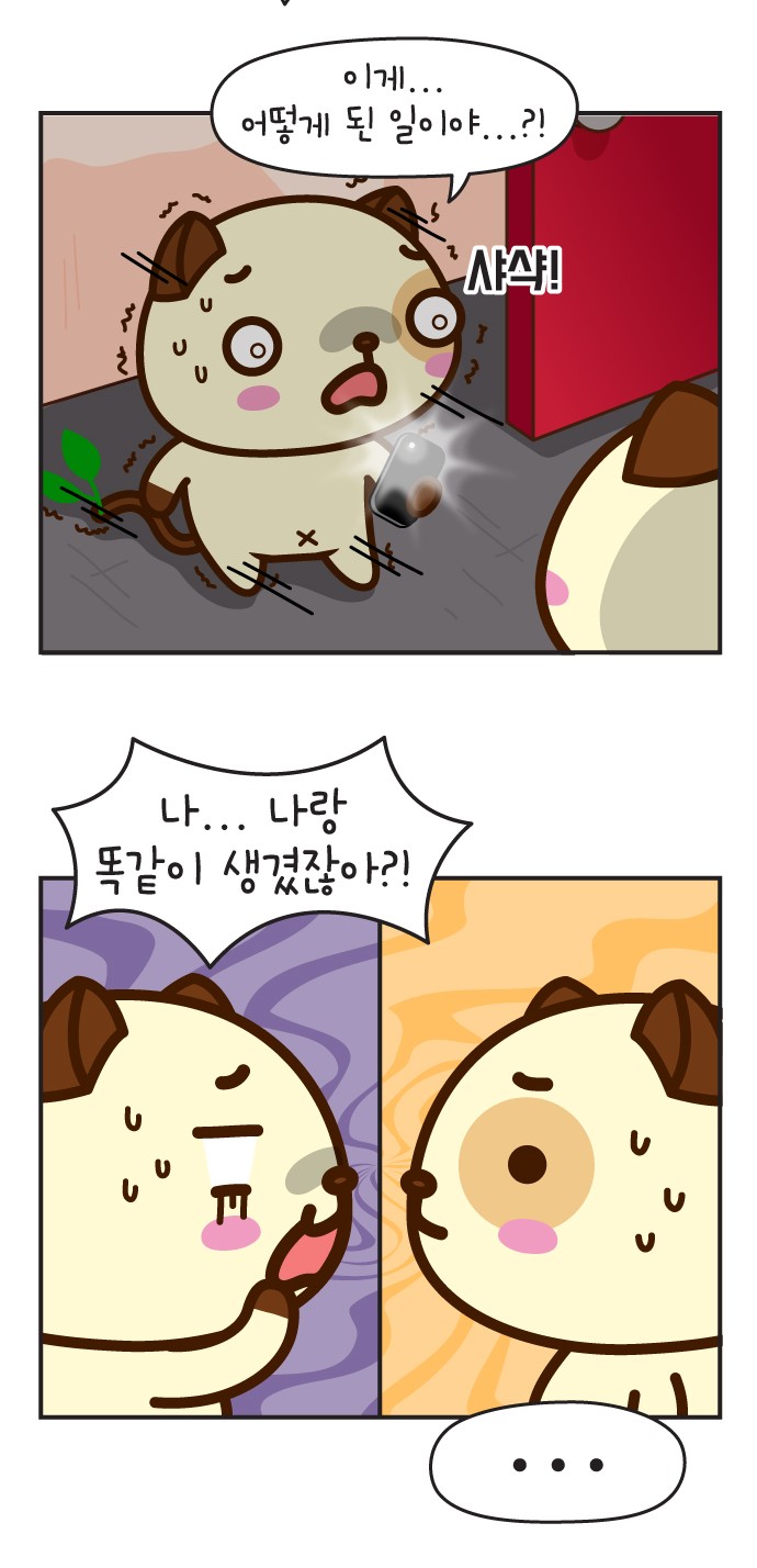16 페이지