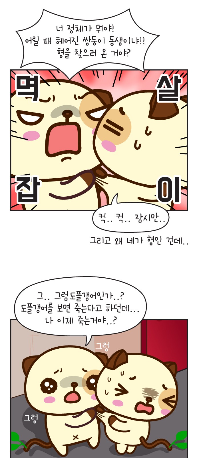 17 페이지