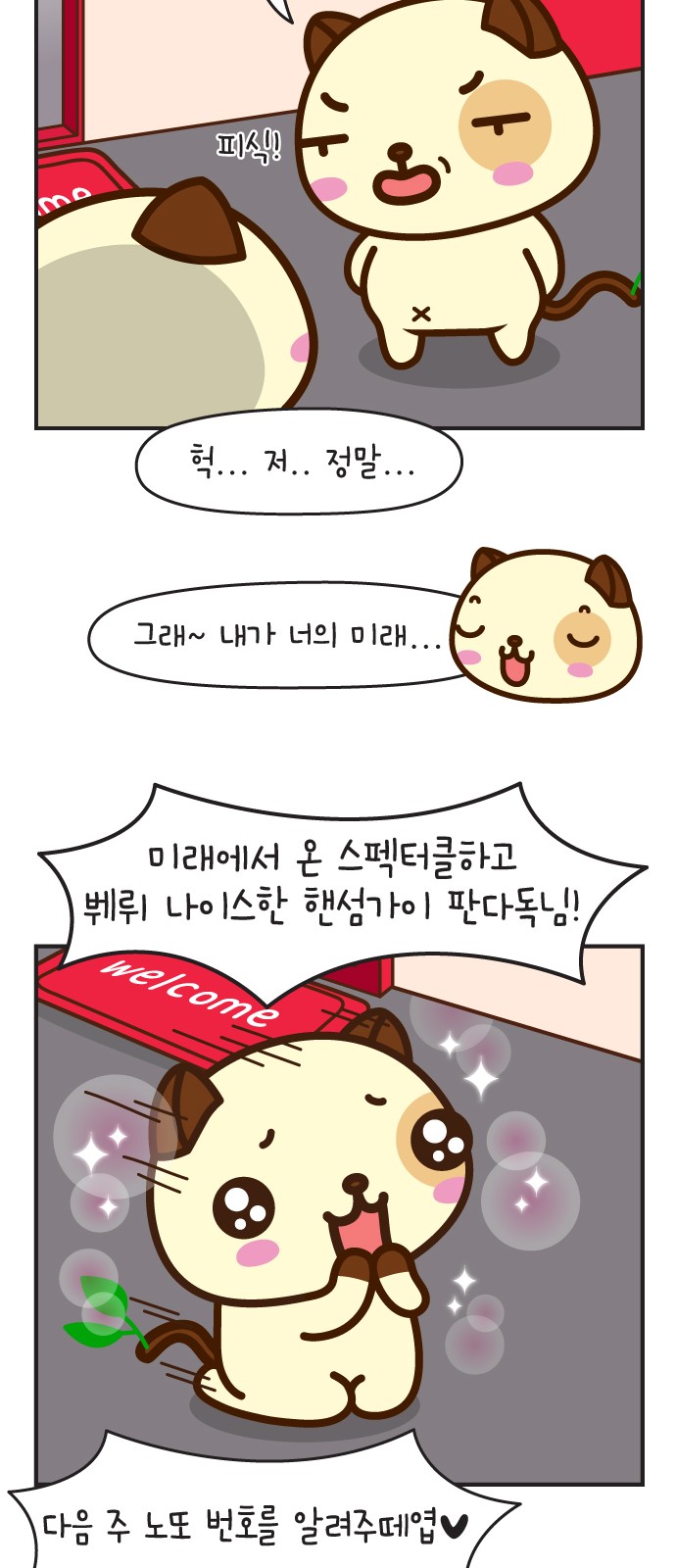 37 페이지