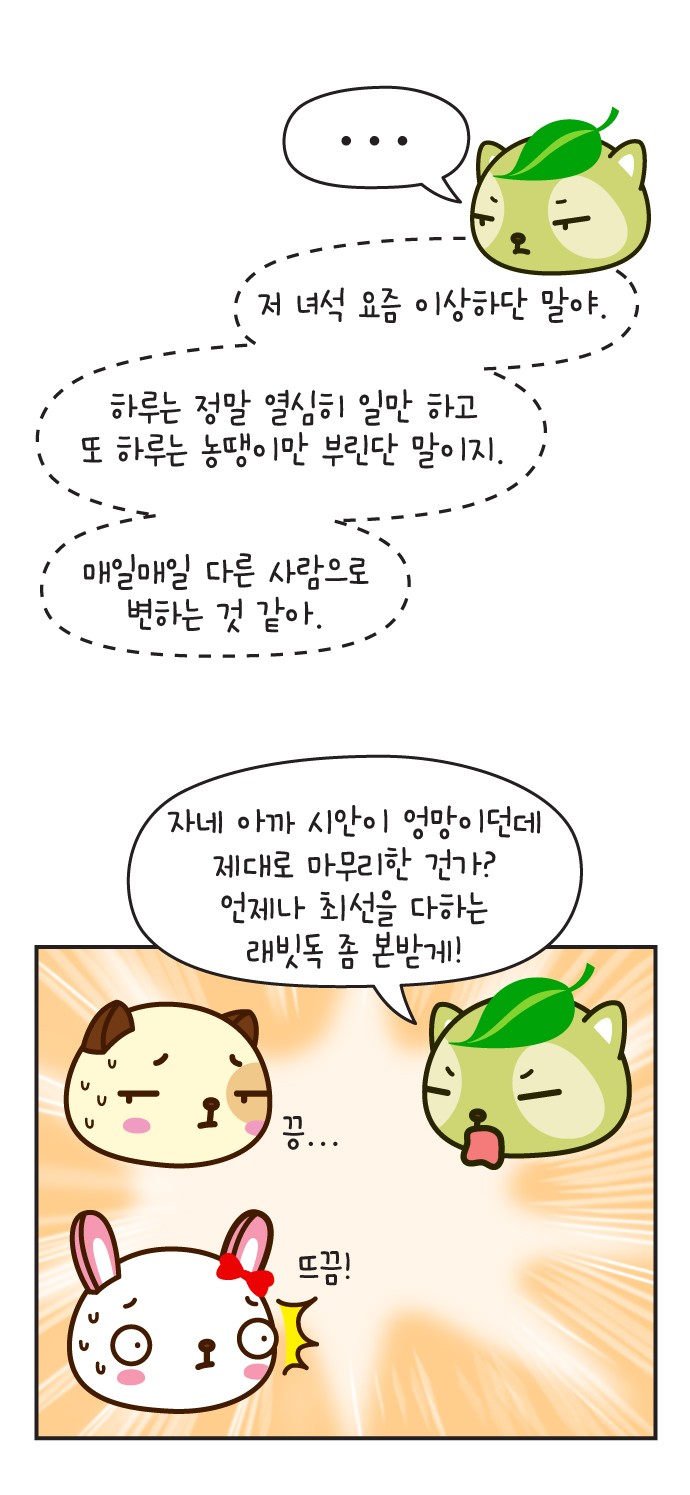 3 페이지
