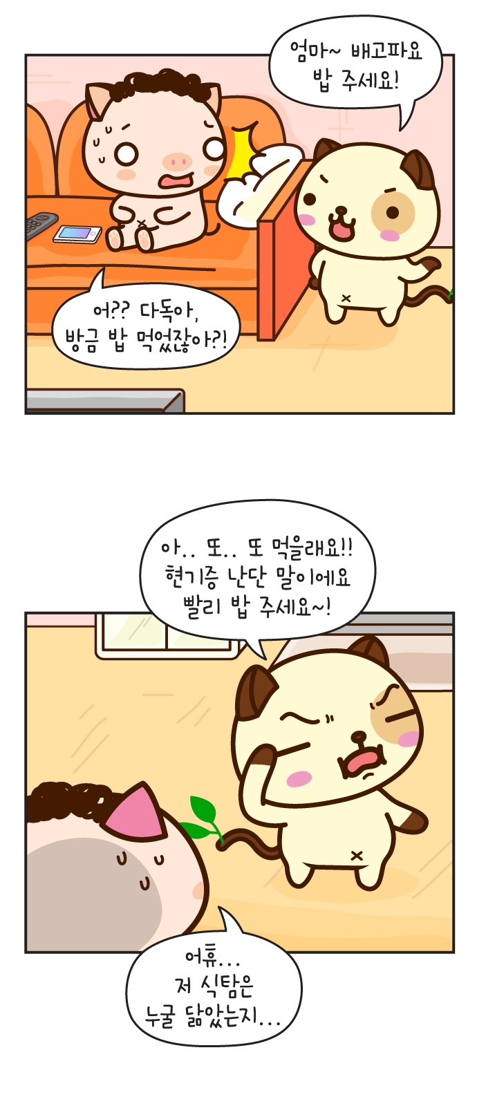 11 페이지