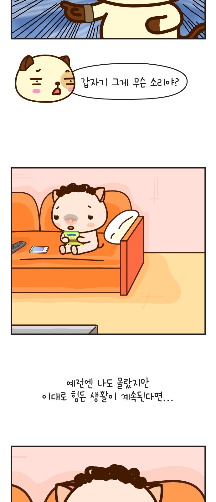 19 페이지