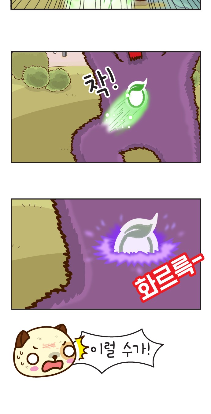 5 페이지