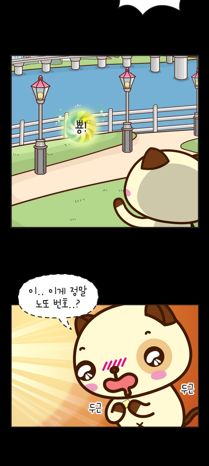 56 페이지