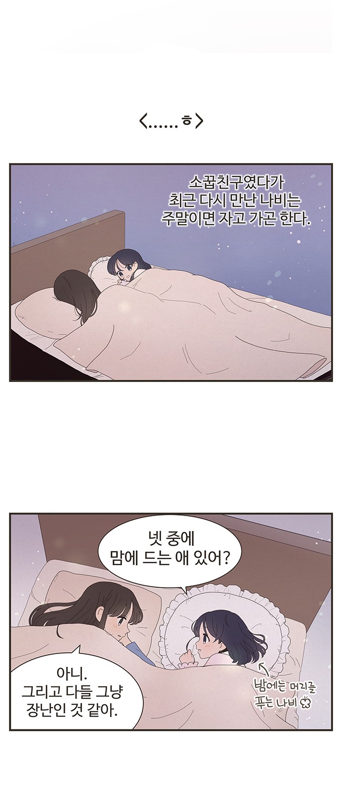 15 페이지