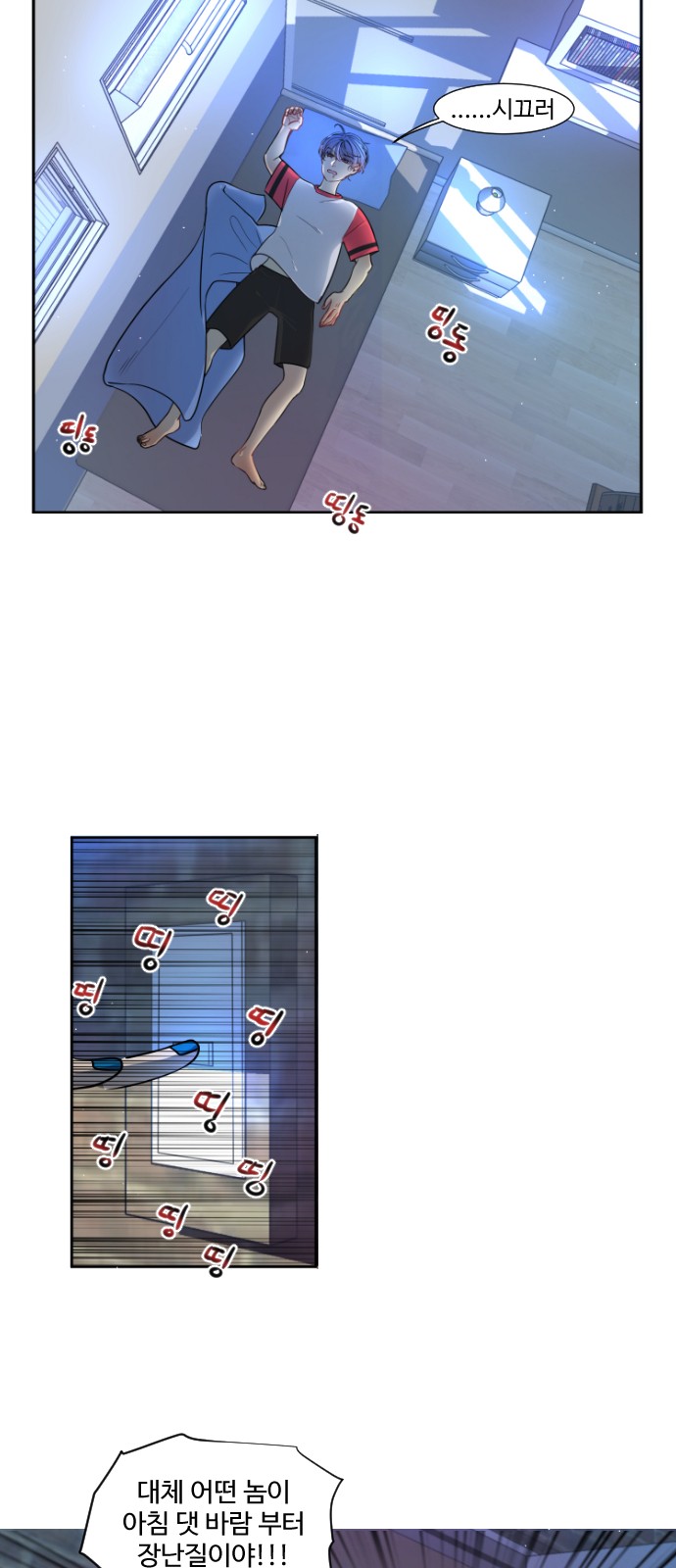 17 페이지
