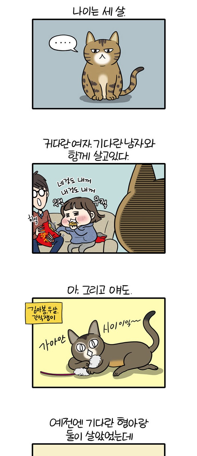 3 페이지