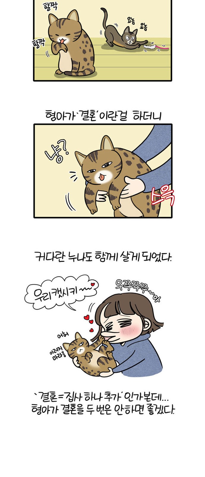4 페이지