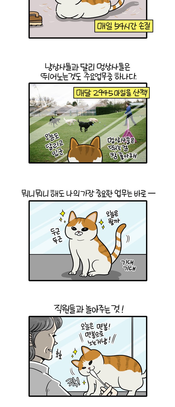 3 페이지