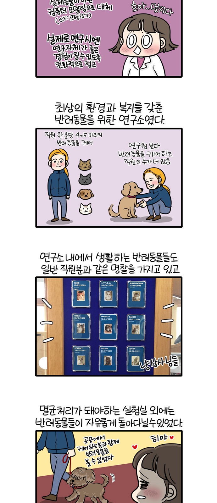 6 페이지
