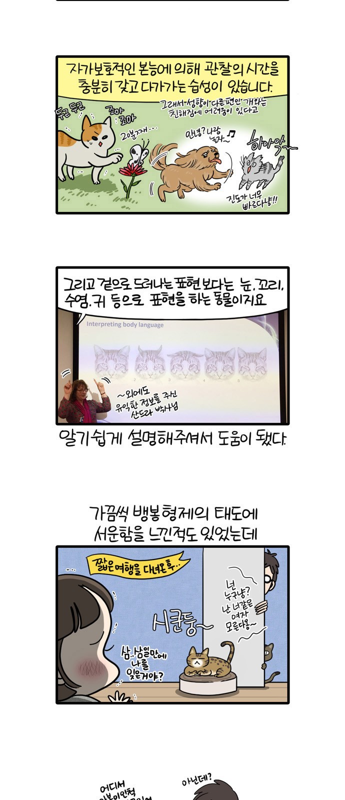 7 페이지