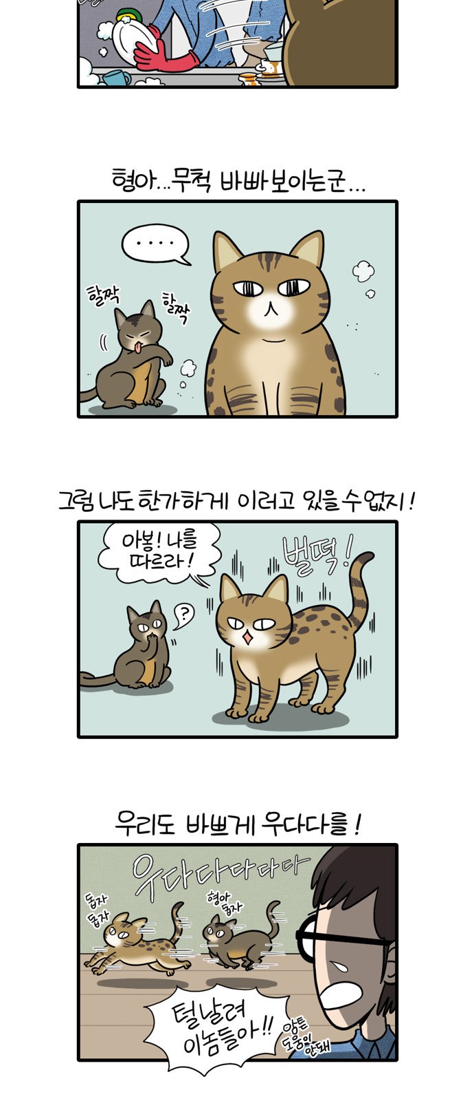 3 페이지
