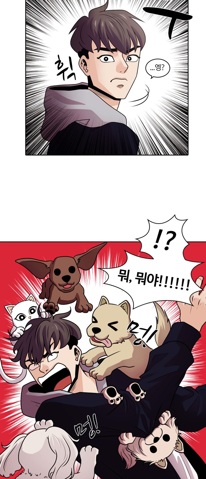 18 페이지