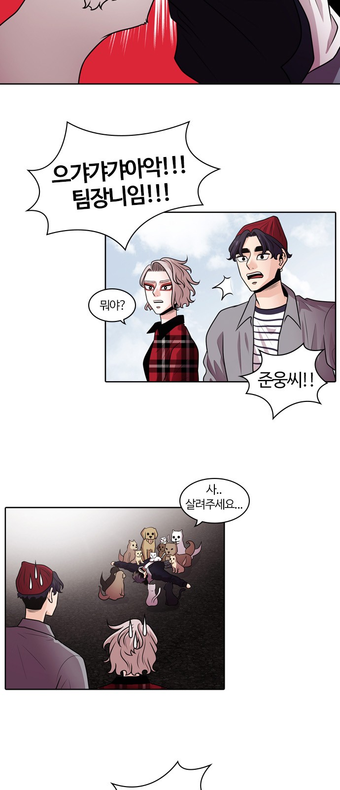 19 페이지