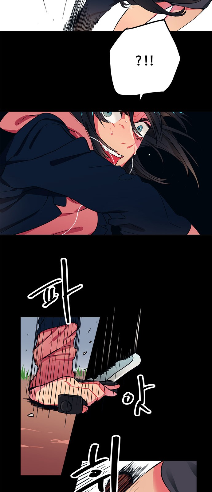 17 페이지