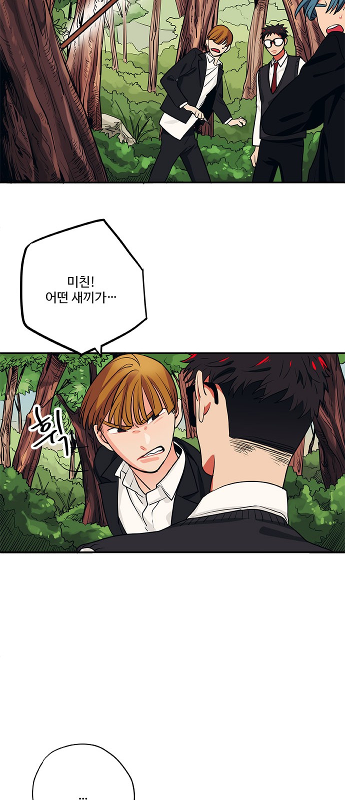 13 페이지