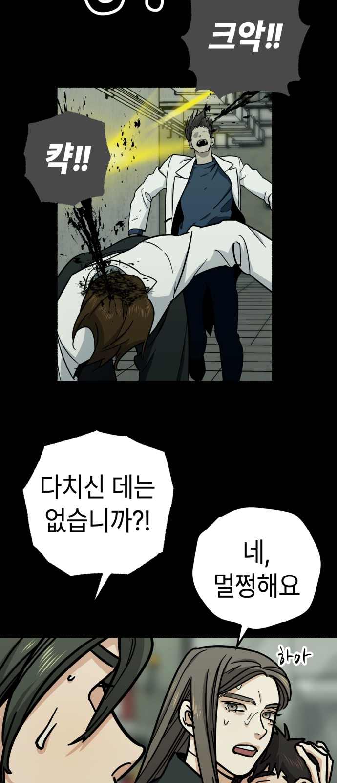33 페이지