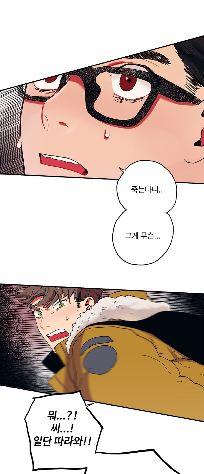 14 페이지