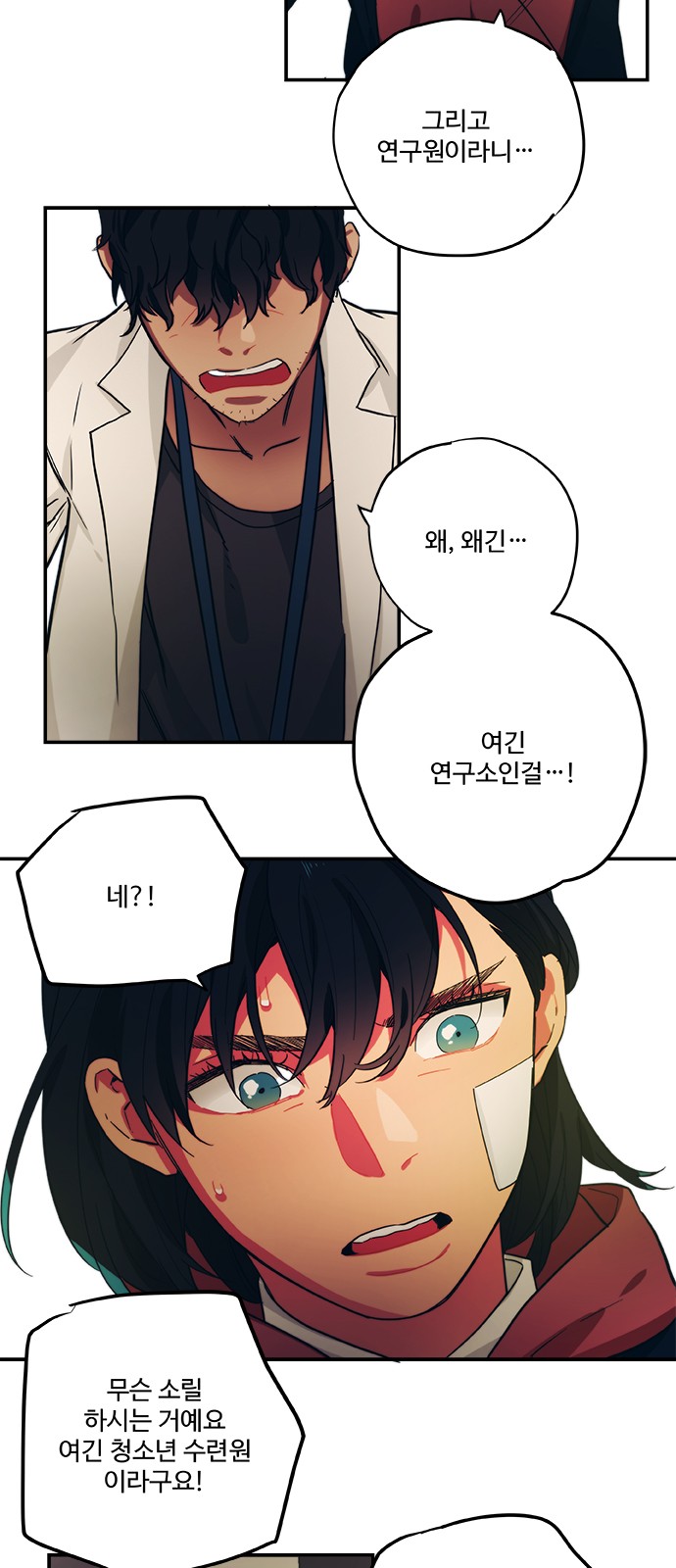 13 페이지