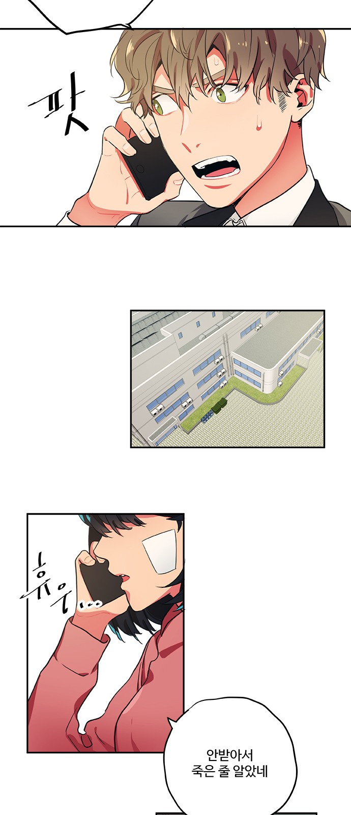 19 페이지