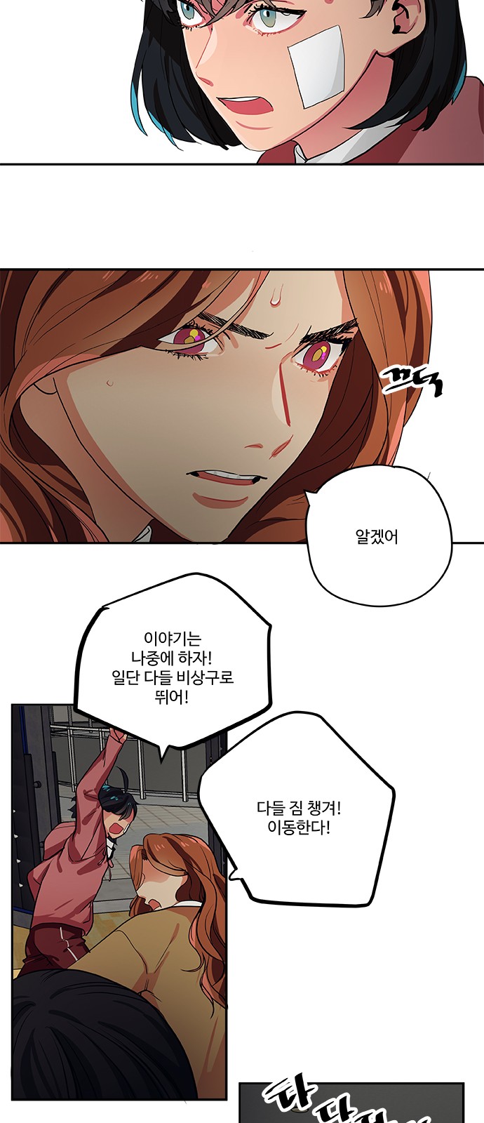 13 페이지