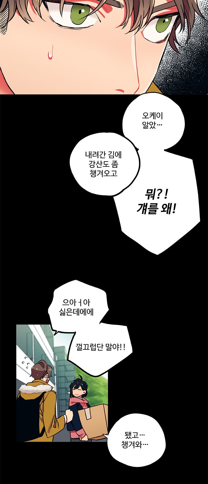 27 페이지