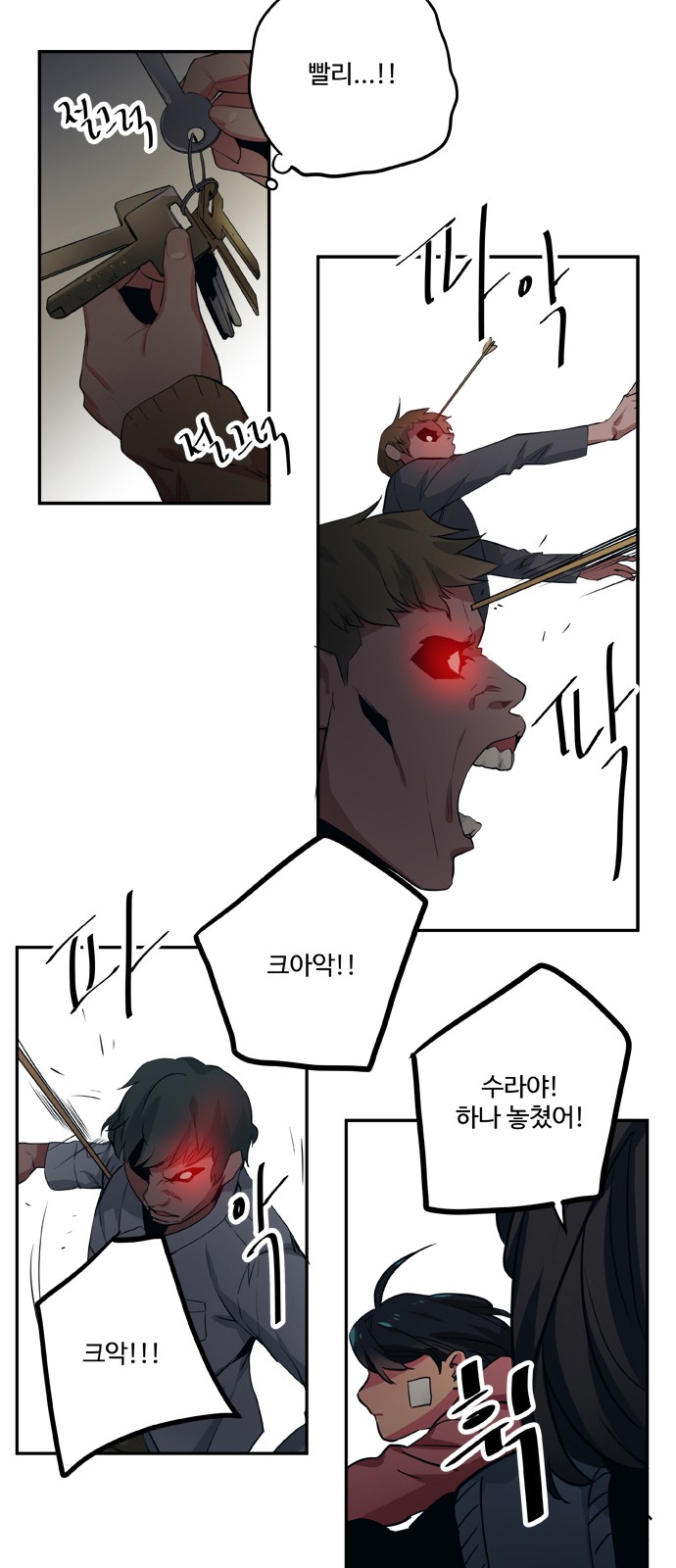 5 페이지