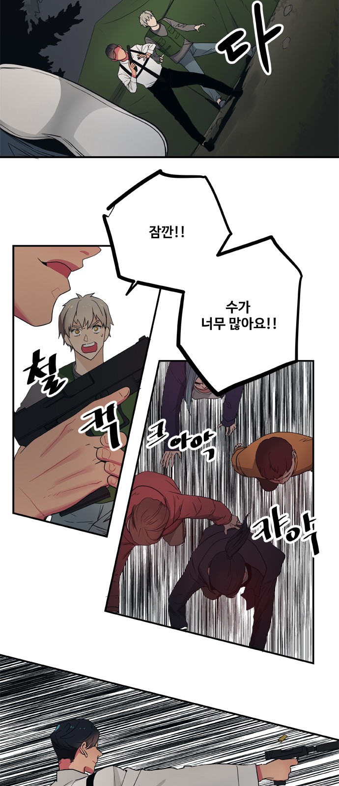 13 페이지