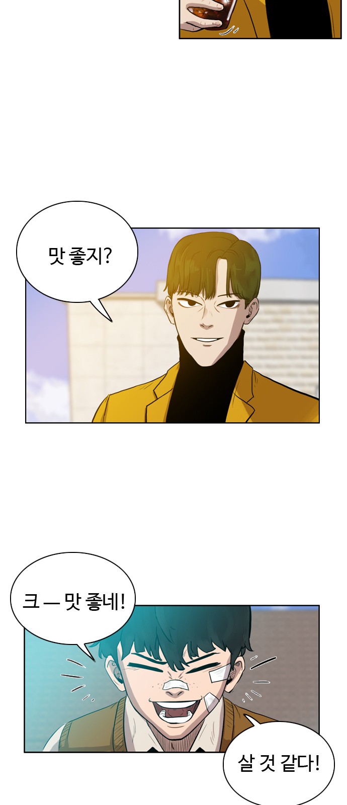 39 페이지
