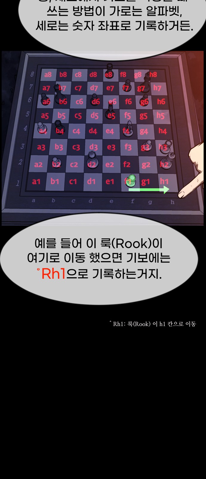 29 페이지
