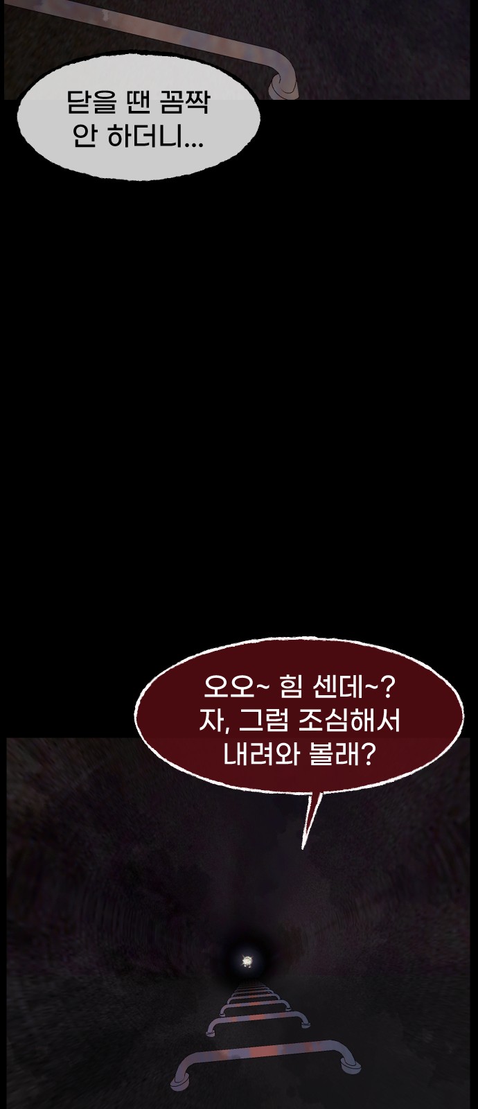 61 페이지
