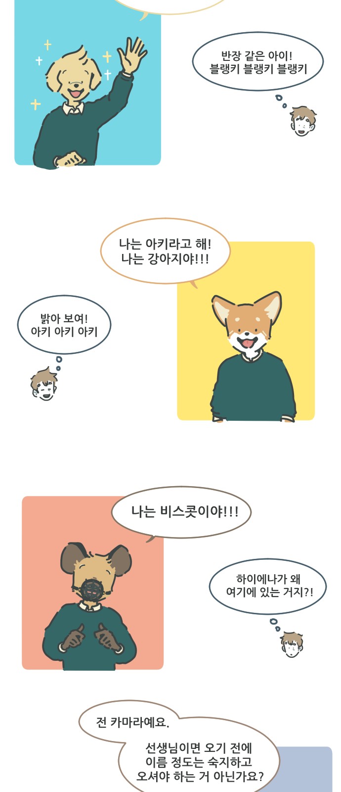 27 페이지