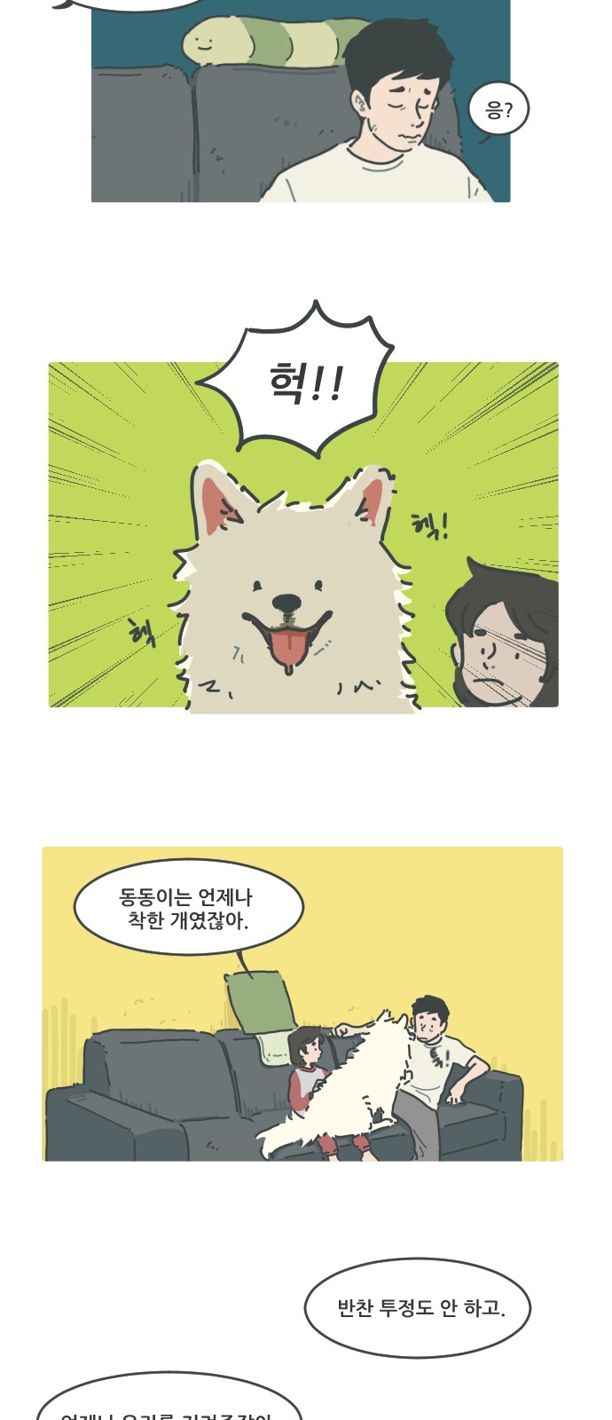 5 페이지