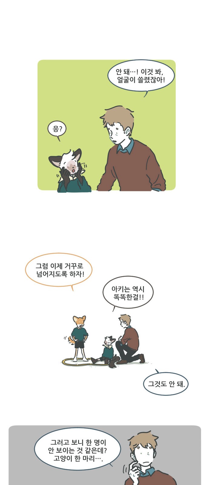 14 페이지