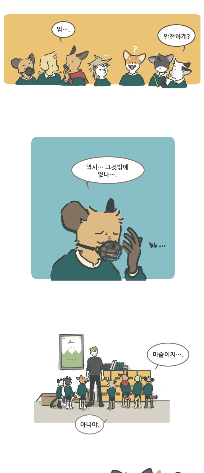 15 페이지