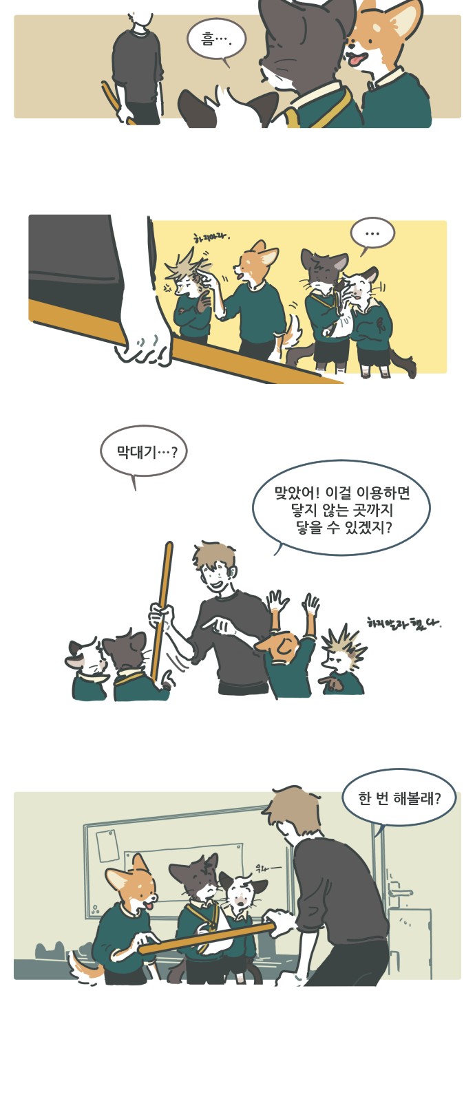 16 페이지
